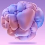 Germkezmis1212: A New Frontier in Cognitive and Physical Health