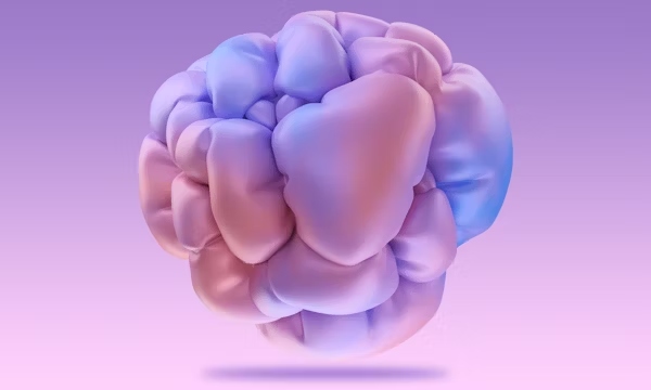 Germkezmis1212