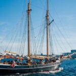 MyVikingJourney: Your Complete Guide to Viking Cruises Digital Travel Hub